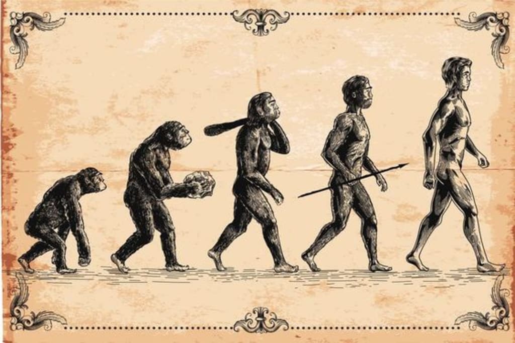 humanitas centro studi e ricerche di psicologia della cultura Corsi e Seminari
